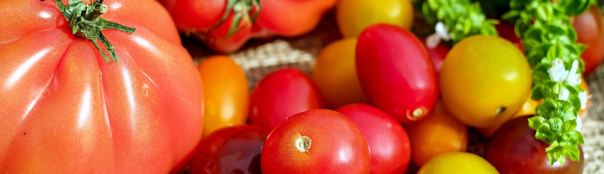 La Amistad Carnes-Verduras-Fiambres